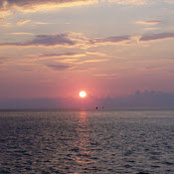 Adam Berliner's photo