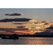 Michele Zajkowski's photo