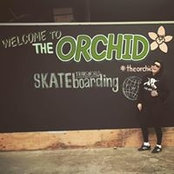 Lizzo Damron's photo