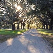 Nancy Truver's photo