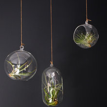 Bring Nature Indoors: Ideas for Integrating Plants Into Your Home Decor