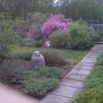 Garden (low maintenance)