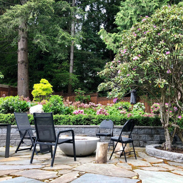Backyard Haven