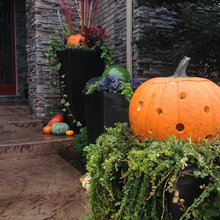 Fall Decor