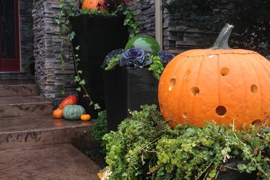 This is an example of a small farmhouse front yard landscaping in Omaha.
