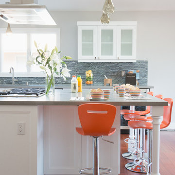 Marin Kitchen Remodel