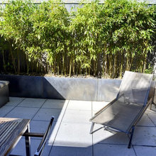 Patio Ideas