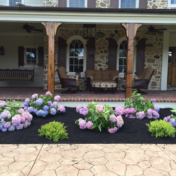 Newtown Square - New Owner, New Plants