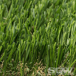 Diamond Light Spring - Products