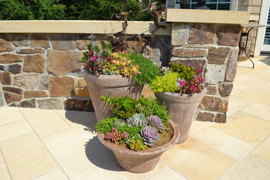 This is an example of a landscaping in Minneapolis.