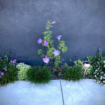 Bedford Avenue, Los Angeles