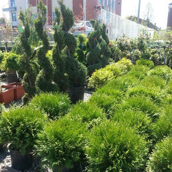 Garden Centre - Gardening And Lawn Care