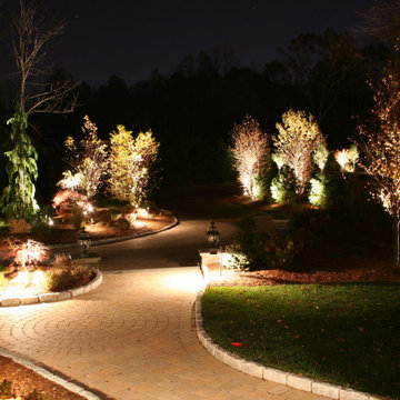 This Landscape and Lighting project Lites up in OVER DRIVE