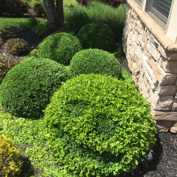 Lawn Care & Landscaping