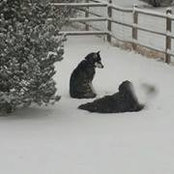 Susan Reuth's photo
