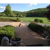 Pia Silvani's photo
