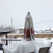 Beth Hynes's photo