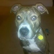 Jared Powell's photo