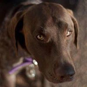 Wendy Watson's photo