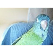 Jo Ann Bellet's photo