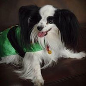 Ding Peralta's photo
