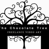 Bogdan Manolache's photo