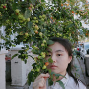 C.C. Li's photo