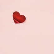 alice donadoni's photo