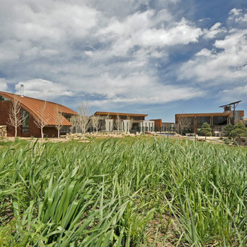 Wild Flower Ranch Backside