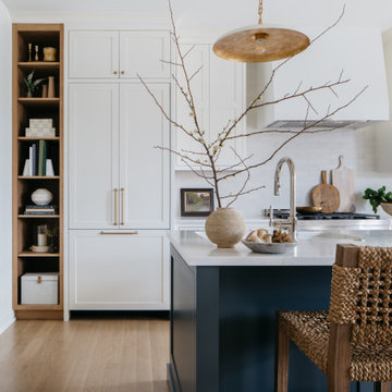 Chicago Renovation