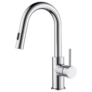 Luxe Single Handle Pull Down Kitchen & Bar Faucet, Chrome
