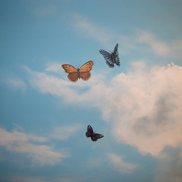 Sky Ceiling Mural with Butterflies, hand-painted in a bedroom by Mural Art LLC.