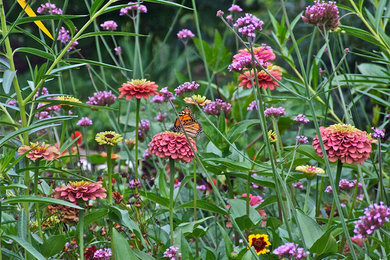 Herb Garden with Monarch