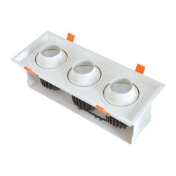 LED down light - Ceiling Lighting