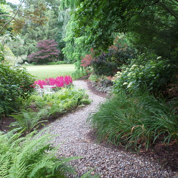 Collector's Garden