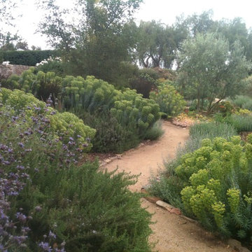 Ojai home
