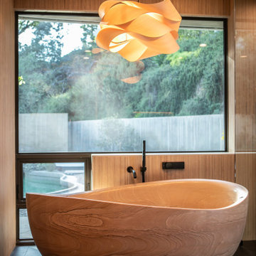 Mid century contemporary house