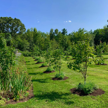 Organic Fruit Orchard