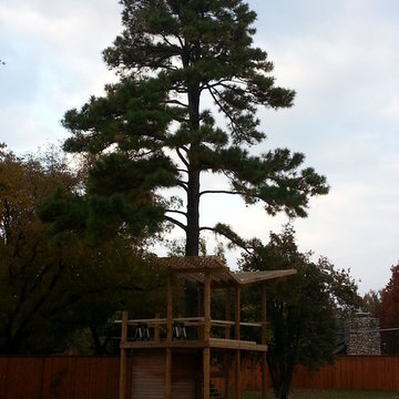 Dunn Treehouse