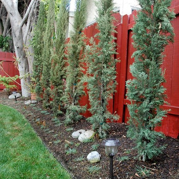 Landscape Design