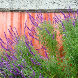 Réalisation d'un jardin sud-ouest américain.