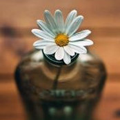 Photo de Maram Ahmed