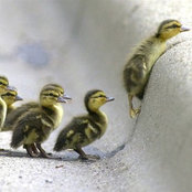 John Lau's photo