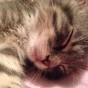 Terri Eberly-Keller's photo