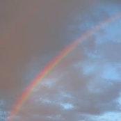 Debbie Hartman's photo