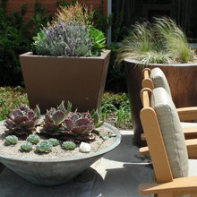Landscape ideas