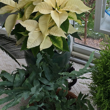 Decking the Halls_Seasonal Design
