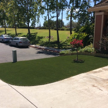 Artificial Turf - Front Yard