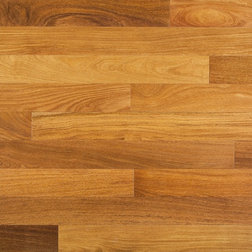 Traditional Hardwood Flooring by Builddirect