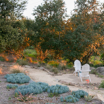 Mosaic Desertscape Style Front Walkway